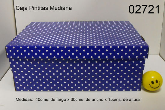 Imagen de CAJAS PINTITAS MEDIANO 39X30X15CM 2.26